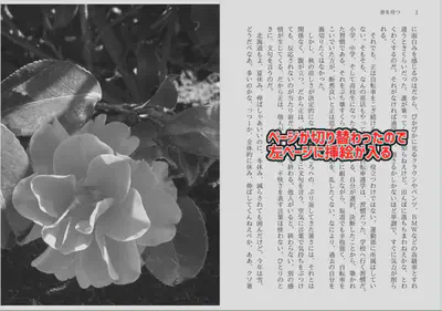 illust_02