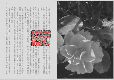 illust_03
